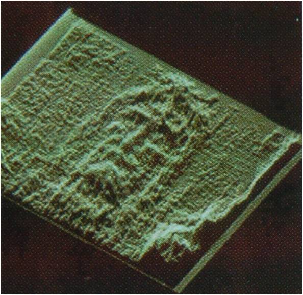 ScottMKendall84's tweet photo. What if the ultimate forensic proof of interdimensional reality isn't locked in a classified hangar, but sitting in plain sight?

🔎 NASA 3D topographical mapping. ⚡ A collimated UV radiation burst. ⚖️ A 1-in-200-billion mathematical anomaly.
The Shroud of Turin is not a relic https://t.co/W82jhbOV8i
