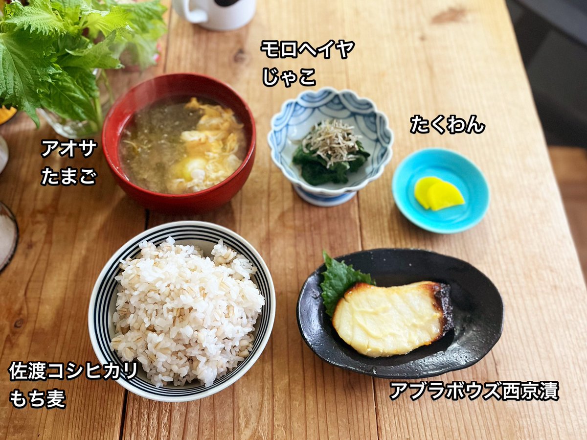 jiromal's tweet photo. アブラボウズには漬け魚が似合うなー。塩焼きと煮魚しか食べたことなかったけど、漬けるのがいいや。気に入ったや
#ありのままの朝ごはん #おうちごはん https://t.co/jMUQejj7jG