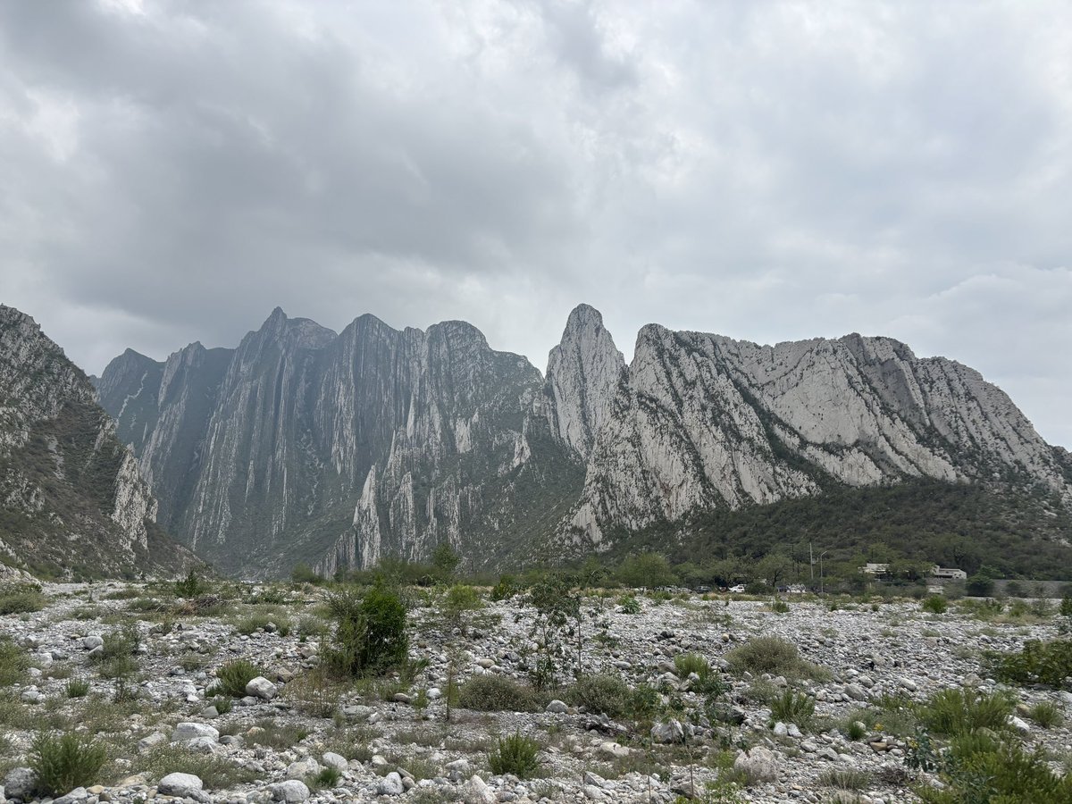 sanspo_wsftbl's tweet photo. Parque la Huasteca、さすらうオタク https://t.co/CxPRD7hauB