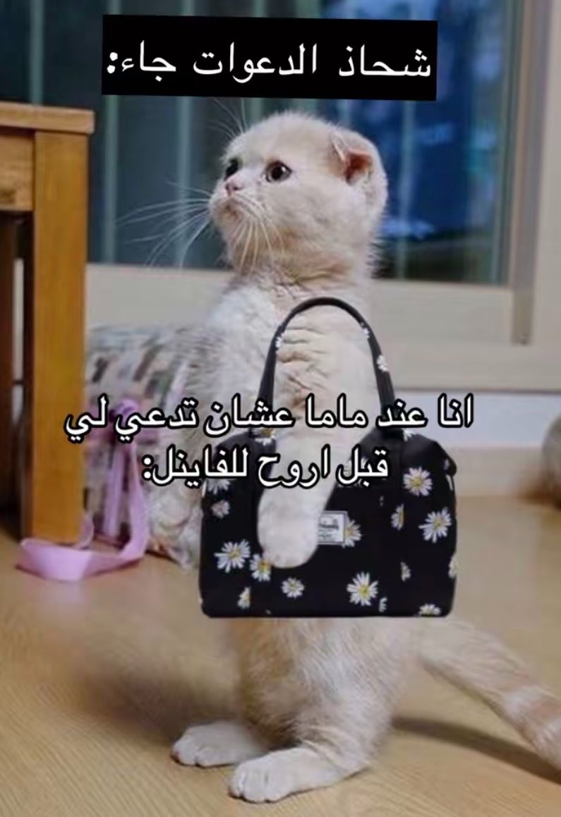 - tweet media