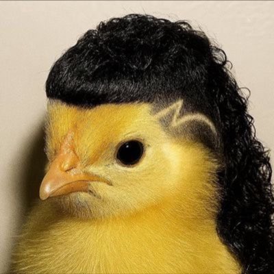 Fityeth's tweet photo. @Aupadrey Are you suggesting she should be with this guy? https://t.co/mh69bX1yuL