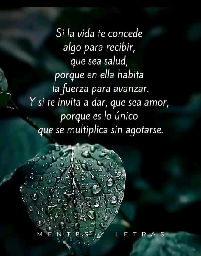 LQuino47372's tweet photo. https://t.co/yBTXOCgdEp