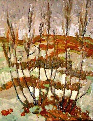 TTLastSpring tweet picture