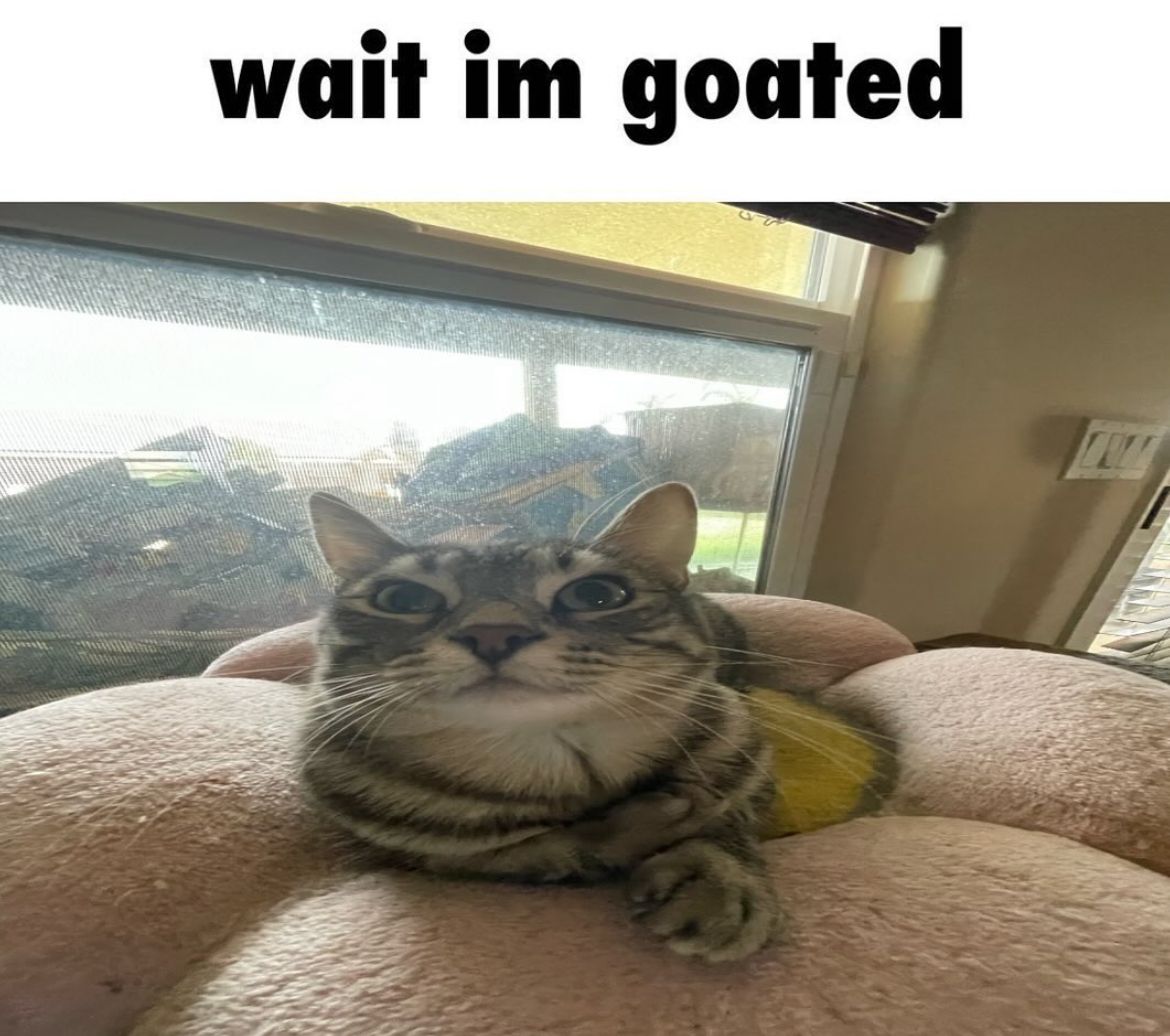 catsbeiingcats's tweet photo. https://t.co/3o3UFANRF6