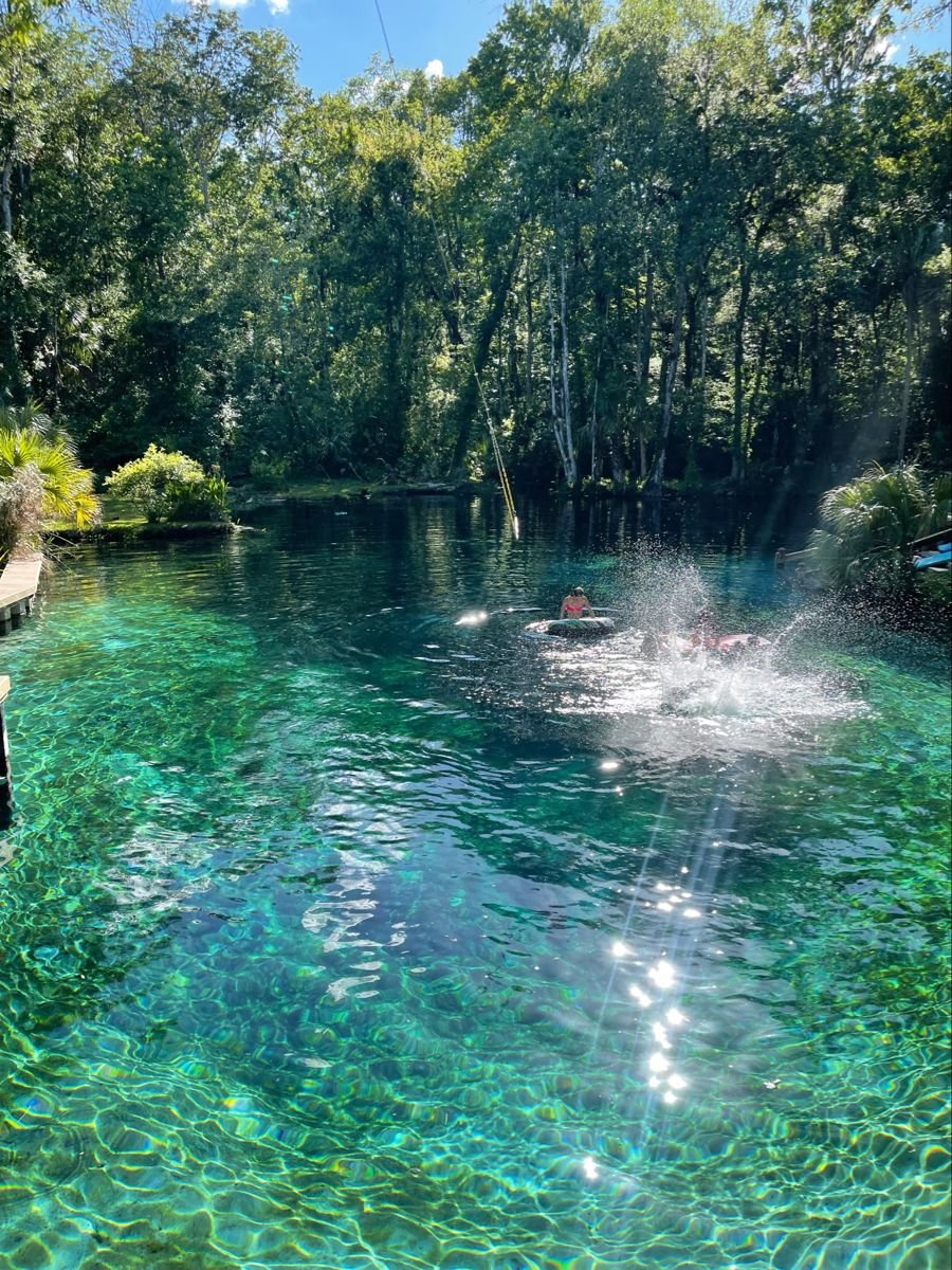 sjgiardini's tweet photo. blue hole spring in ichetucknee springs state park... https://t.co/xqOadQpSyv
