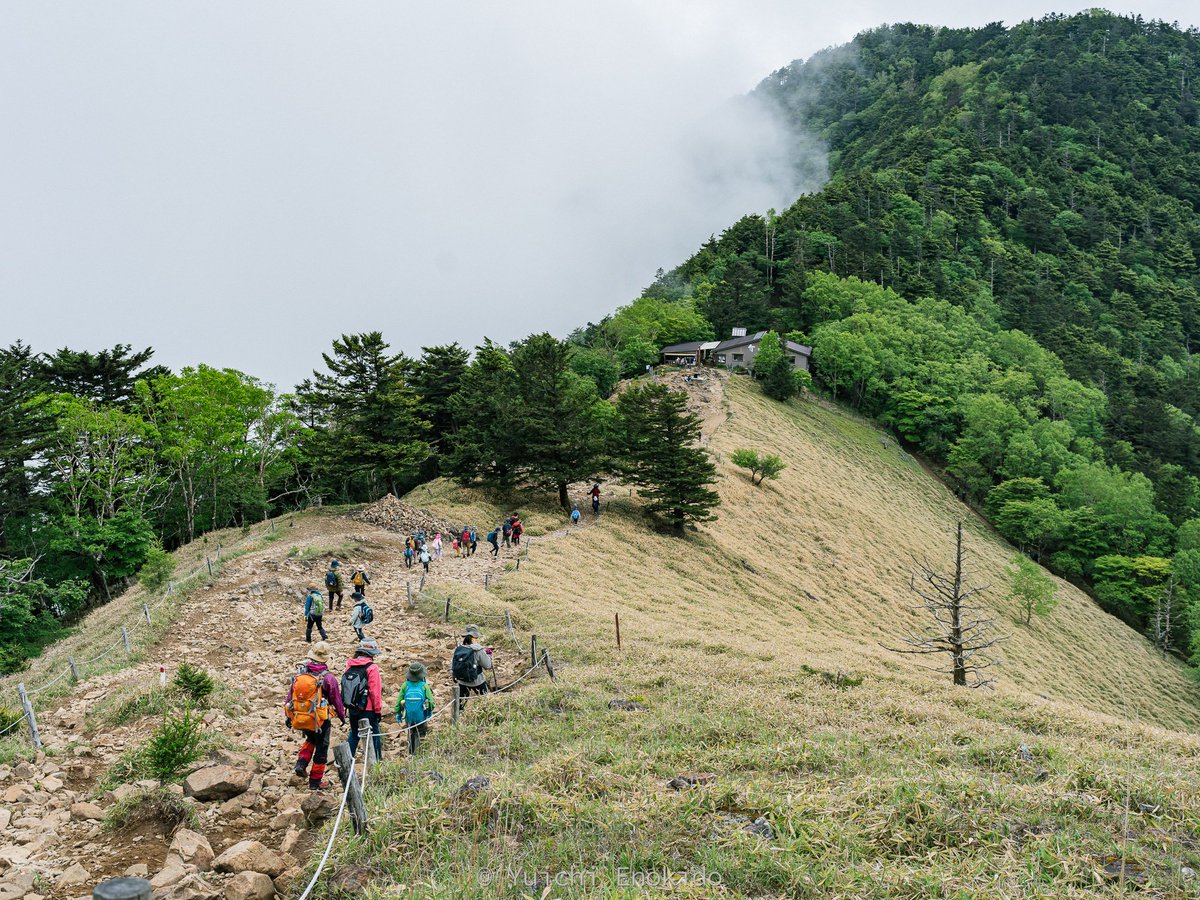 bunn2000's tweet photo. 昨日はガイド会のお仕事で大菩薩。曇ってい��ので富士山は見えなかったけど、しっとりとした感じが良き。霧雨程度で本降りにならなくて良かった。

お客さんにツアーを知ったきっかけを聞いたら、Geminiに聞いたら教えてくれたとのこと。AI の浸透度がどんどん進んでますね。 https://t.co/kQQ0pdIKsX