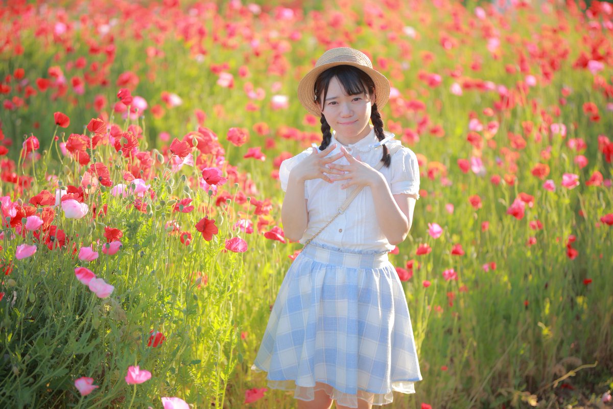rightspeed1's tweet photo. 風がやさしい日

model:もこちゃん https://t.co/OeOgeDUi6a