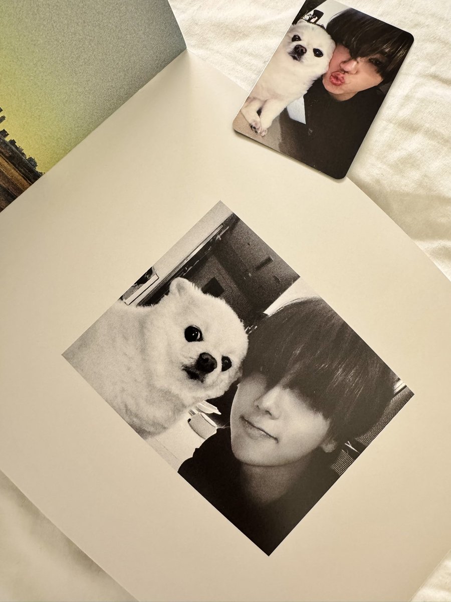 lurkerkc's tweet photo. Melooooo 🐻‍❄️😭🥺 this one that Yesung picked to be in this album, it’s such a sweet picture of the two of them.. &amp; his little smile as well.. 😭 #예성 #YESUNG #イェソン https://t.co/fuOdpjy5SV