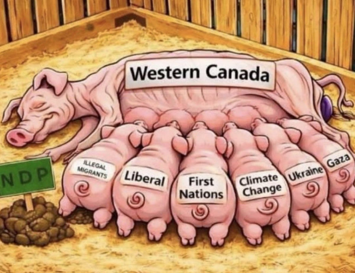 hd_1960's tweet photo. @AndrewKnack Add yourselves to this Cartoon you POS! https://t.co/5wxmWLNMa9