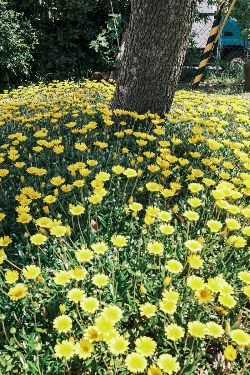 kobateck's tweet photo. おるね https://t.co/PHwyichNfc