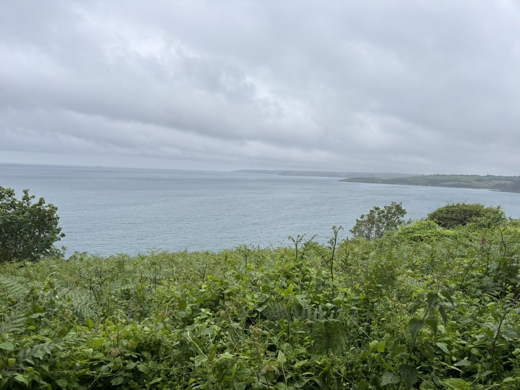 orangeats's tweet photo. as much as i hate living in the middle of bumfuck nowhere, it really is very pretty . https://t.co/9ArN2Ni9Sp
