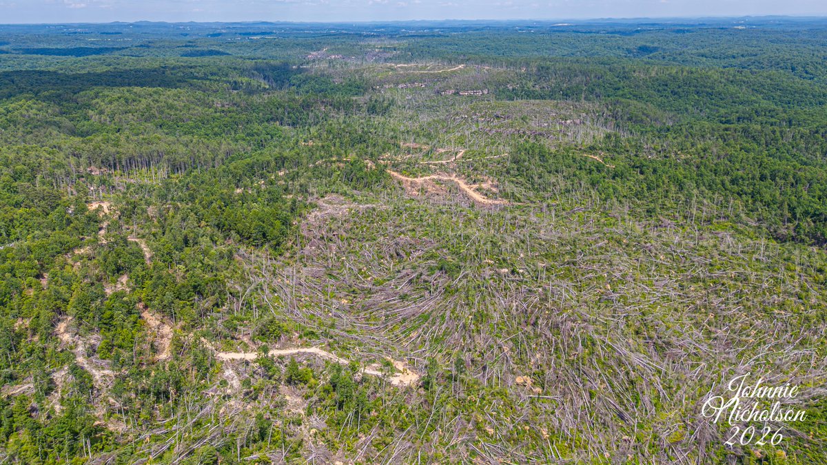 thekyniche's tweet photo. May 2025 EF-4 path in the Daniel Boone National Forest #kywx #ekywx @spann @AndrewWMBF @nwsjacksonky @JenNimePalumbo @jsmithwx @SSmithWeather @jloganwxguy @weatherchannel @WeatherNation @JimCantore @cjwxguy56 @Kentuckyweather @MarcWeinbergWX @BillMeck https://t.co/iN5K3MCtX4