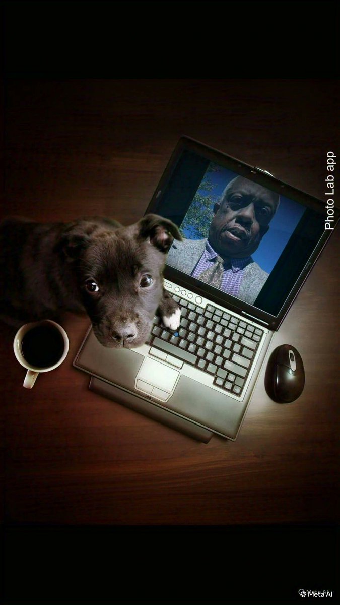 JimmyThunder's tweet photo. https://t.co/p0JBoRM6qb