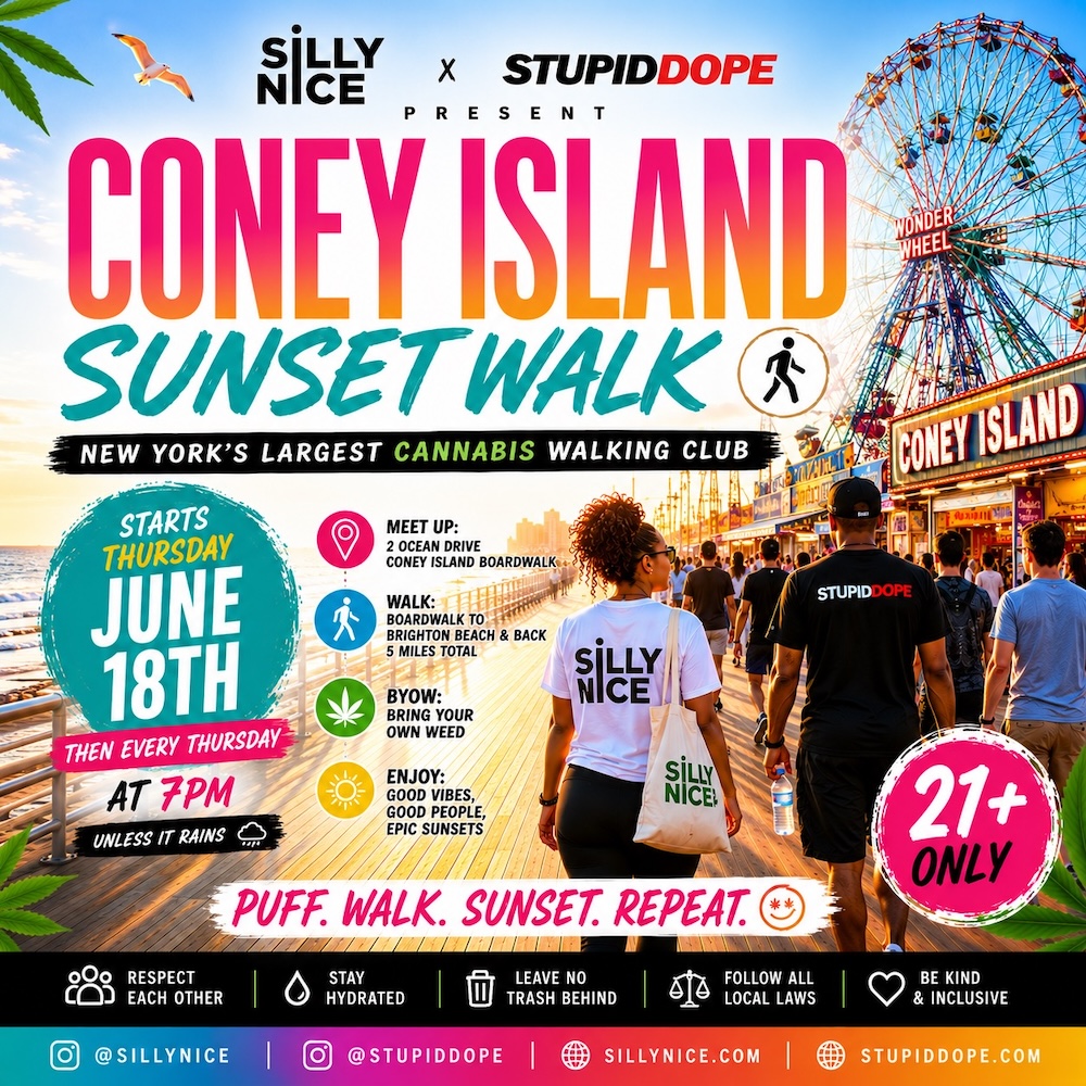 SillyNiceNYC's tweet photo. Meet new people. Get some steps in. Enjoy the sunset. Build community. Read more: https://t.co/3FxHgtbscY #brooklyn https://t.co/fftDyeBwZI