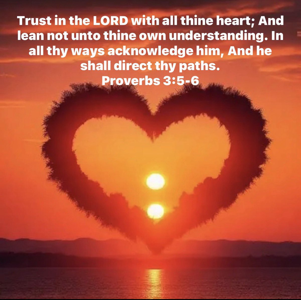 KatrinaPrayer1's tweet photo. ❤️🕊️📖❤️ https://t.co/L5UT0IopbE
