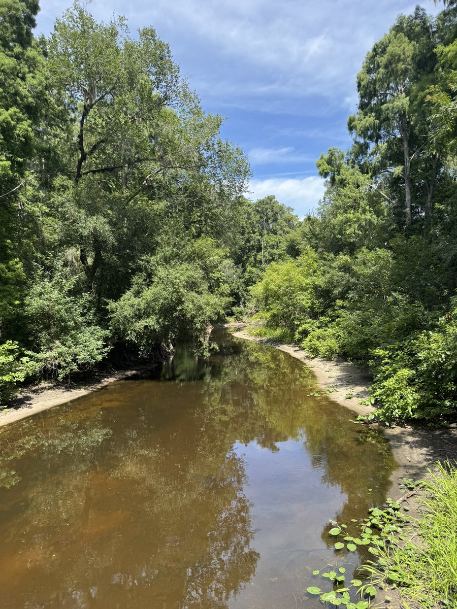 cherubthoughts_'s tweet photo. Sometimes I genuinely forget I have a Twitter LMAOOO. Anyways here’s pics from a walk earlier :3 https://t.co/F2DQa0g3vP