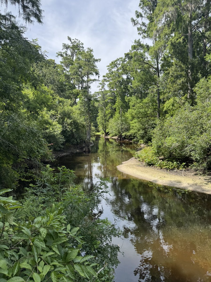 cherubthoughts_'s tweet photo. Sometimes I genuinely forget I have a Twitter LMAOOO. Anyways here’s pics from a walk earlier :3 https://t.co/F2DQa0g3vP