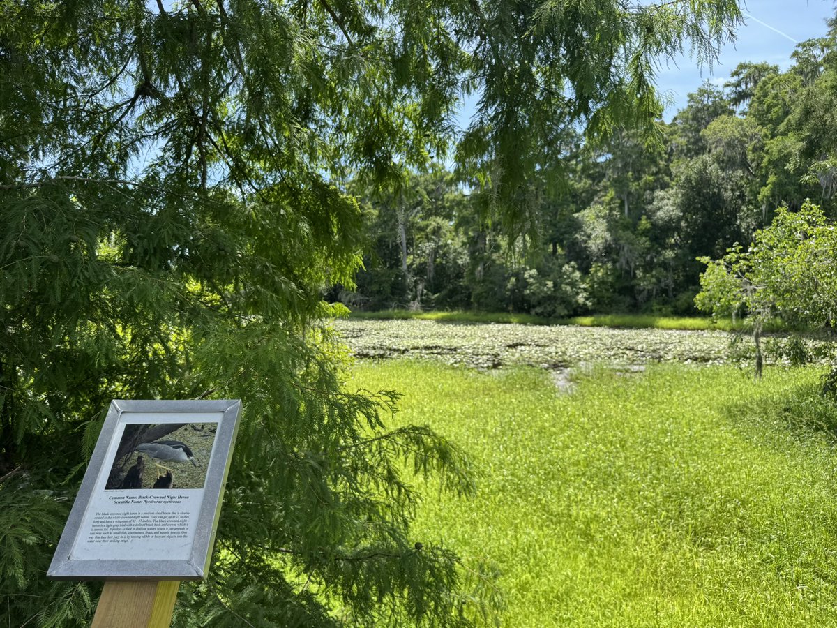 cherubthoughts_'s tweet photo. Sometimes I genuinely forget I have a Twitter LMAOOO. Anyways here’s pics from a walk earlier :3 https://t.co/F2DQa0g3vP