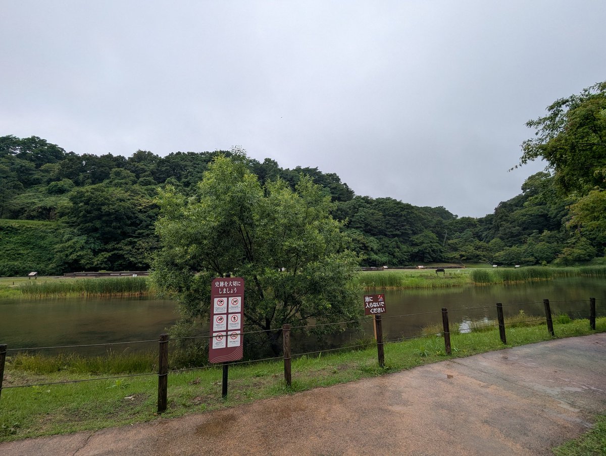 kamakura_press's tweet photo. おは永福寺跡

今朝の鎌倉は雨
気温は19度となっています。

蛙の鳴き声が聞こえる永福寺跡です。

今日も1日笑顔で！

#鎌倉PRESS #鎌倉プレス #永福寺跡 #今日の鎌倉 #鎌倉日暦 #鎌倉毎日天気

↓今日の暦と運勢↓
https://t.co/yz3IH0Eahl https://t.co/2jD12cV6ga
