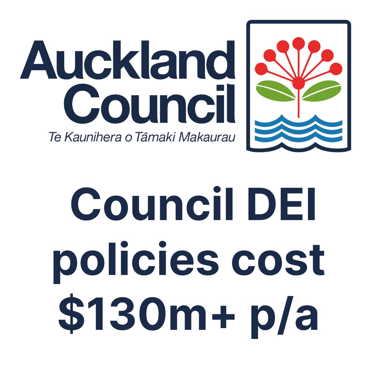 RightLenz's tweet photo. RT @1nzmw: Council DEI policies cost $130-240m p/a - around $4,000 per household. https://t.co/quIah3O3DS