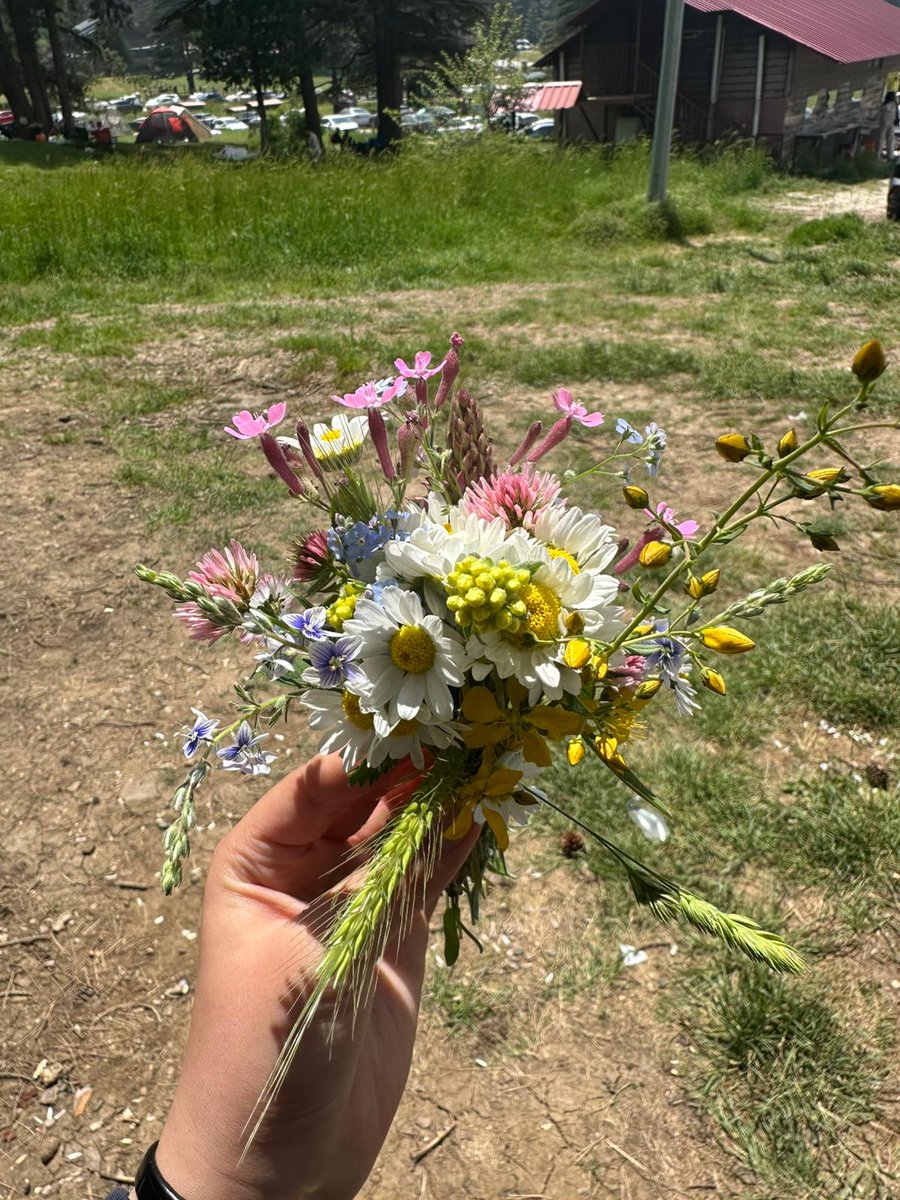 gclemine07's tweet photo. 🌺 https://t.co/mKDRQPNXhk