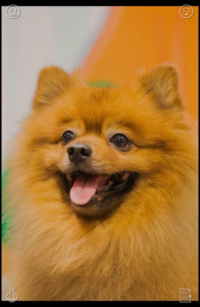 TowKnight's tweet photo. Mushroom pasta. Mushrooms are delicious. 🕳 Years passed, Lila matured, tied the knot, and gave birth to a son she called Buddy, honoring the first dog who transformed her family’s existence, filling their lives with immense love and happiness. https://t.co/ZYfSEVRRxb