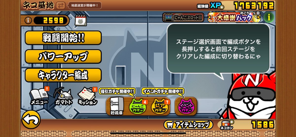 わっしょい吉田 tweet media