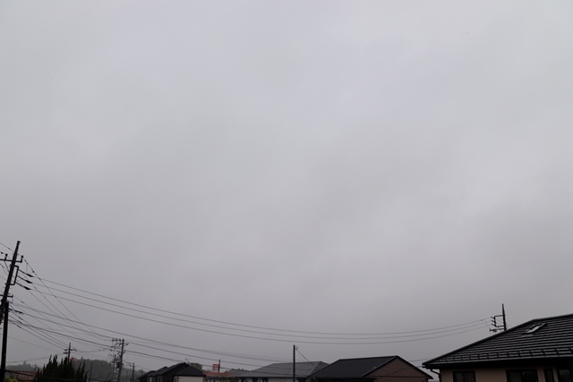 usrok29's tweet photo. ６月８日（月）土浦の空模様
　今日は昼前まで雨が残り、その後天気は徐々に回復に向かいます。ただ、雲は晴れそうにありません。夜になるとまた雨が降り出すでしょう。外出際は雨具があると安心です。暑さは控えめで過ごしやすい陽気に。
　明日は曇空の一日。日中は少々蒸し暑くなりそうです。 https://t.co/558XKP2SsC