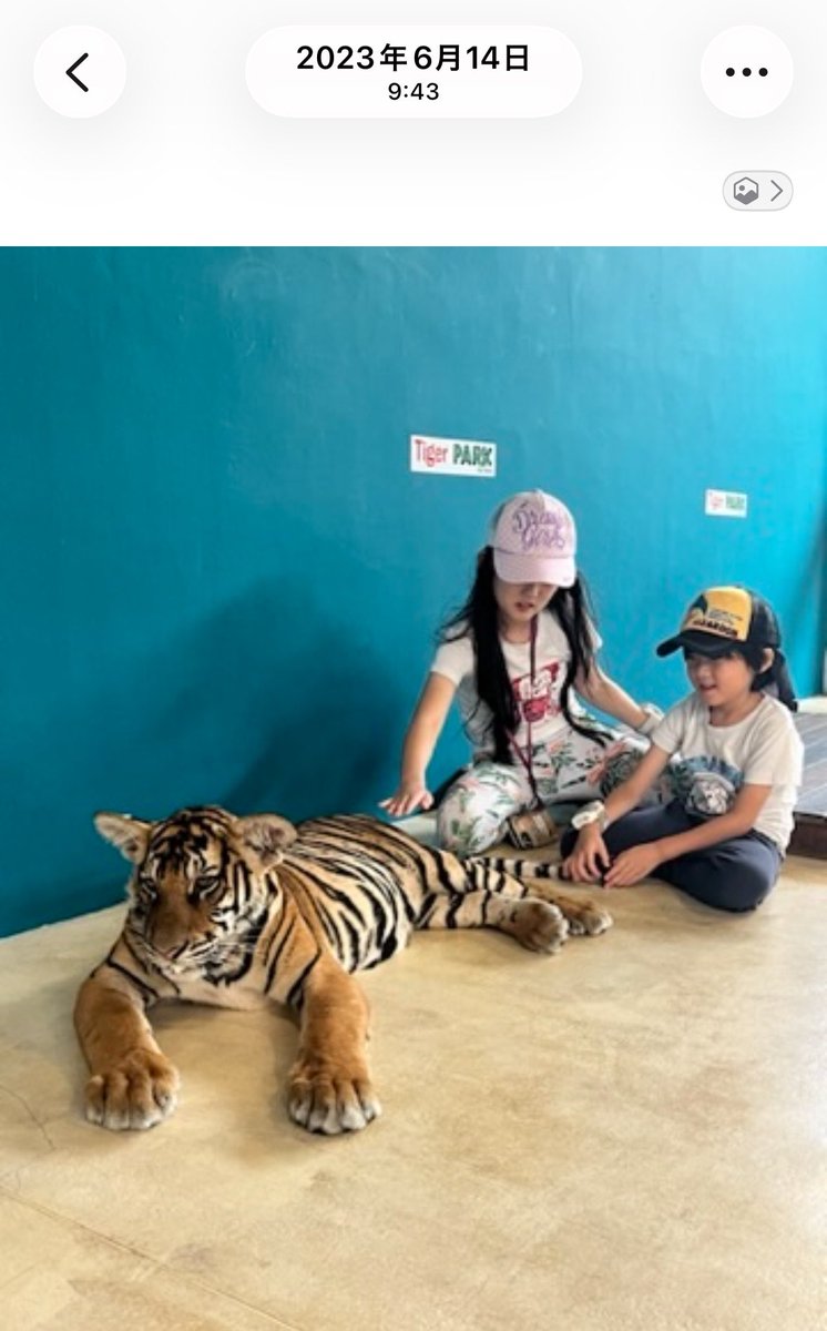 ohitolisa's tweet photo. 毎年行ってると思ってたUSJ
去年は行ってなかったみたい
2024年ぶり
2023年はタイで像乗ってトラ触ってその足で関西空港→USJ行ってるよ.....
また来年もしくは今年のハロウィンにまた行きたいなぁ🤍 https://t.co/iAoPzFV9lC