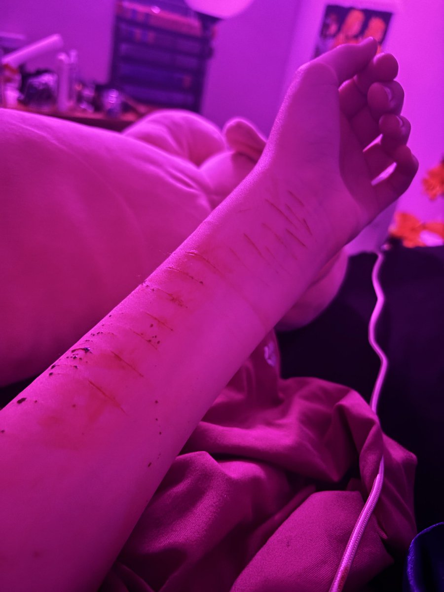3vluvsmusic's tweet photo. Sesh from a few days ago <3 #shhhhh #sharmtwt #styro #catscratches https://t.co/8jWV5OV2R8