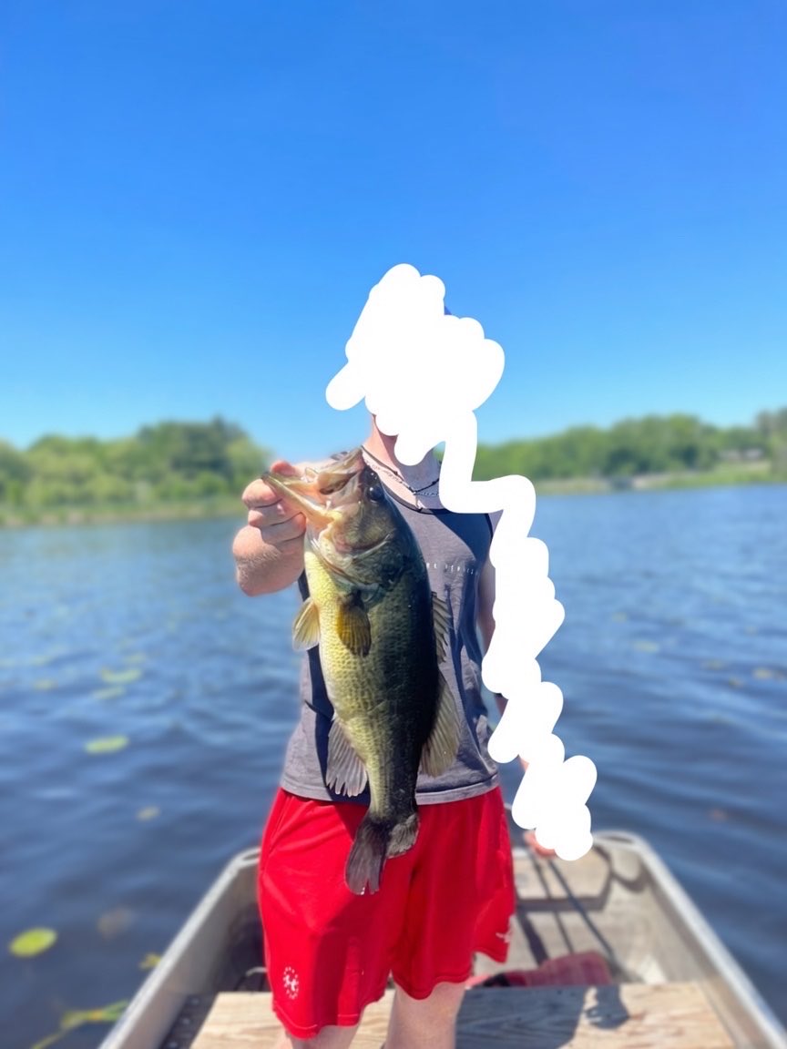 Fishing Groyper tweet media