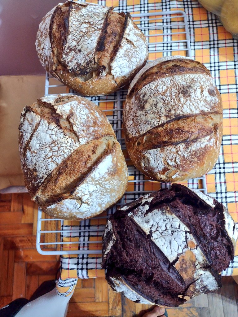 odevecAimE's tweet photo. Semillas, algarroba, tomillo y el tradicional 🍞🤤 https://t.co/t61a6JOcOZ