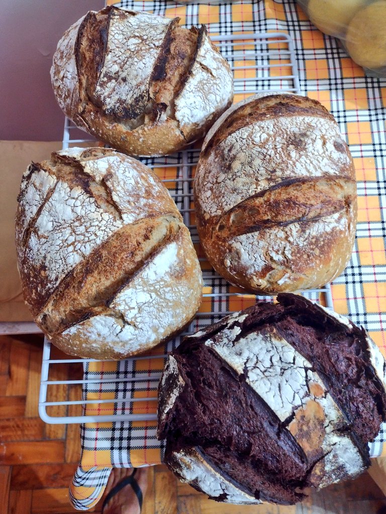 odevecAimE's tweet photo. Semillas, algarroba, tomillo y el tradicional 🍞🤤 https://t.co/t61a6JOcOZ