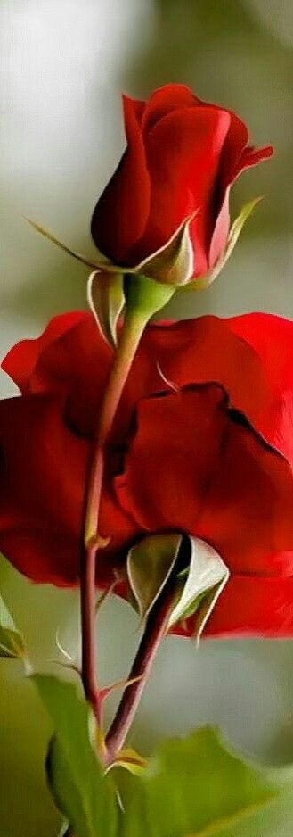 ShellyC64660869's tweet photo. https://t.co/guJSddt86s