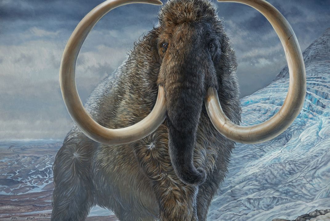 GrugKillMammoth's tweet photo. Ugga parsons first neanderthal to kill mammoth

He only twenty https://t.co/Nl7DYT5hca