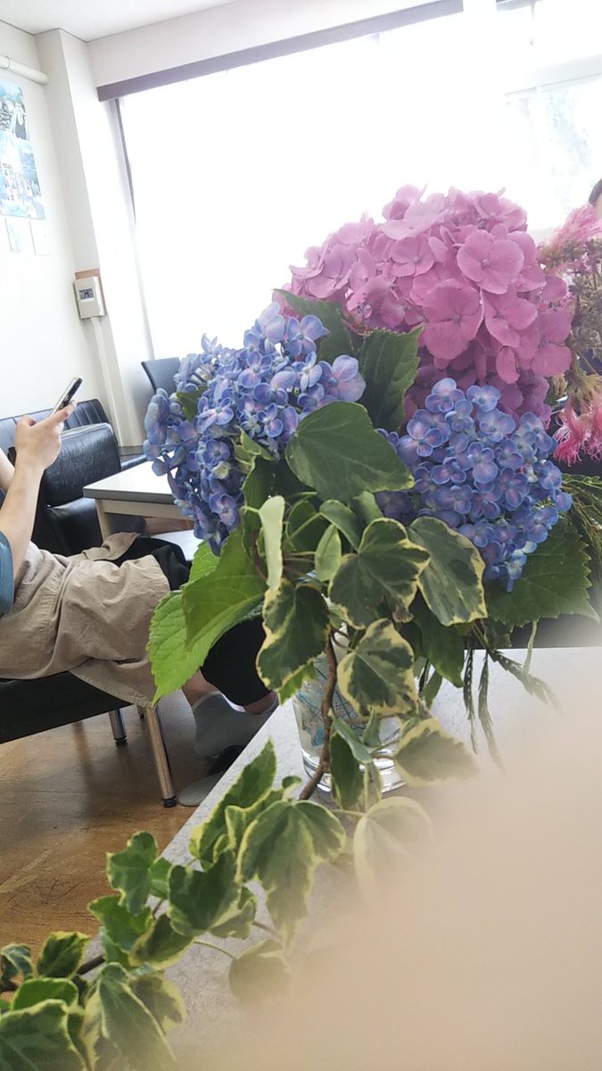 mizukubo1978's tweet photo. 毎月、第一土曜日は、みらい館大明で月一営業の #喫茶かるばーと さんで自分の時間を過ごす。
料理長といろいろお話できたこと、そして思いのほか、持参した我が家のアジサイが好評だったことが、とてもうれしかったです！
そのあと初めての合宿コンクール #Chapter2 に向かいました。 https://t.co/VX5lX4nOxS