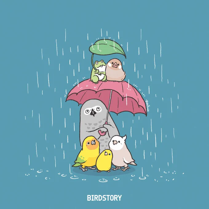 今日の東京も雨模様。 昨日、関東甲信・東海地方の梅雨入りが発表されましたね じめじめした日が続きますが、今週も素敵な一週間になりますように #BIRDSTORY #梅雨入り