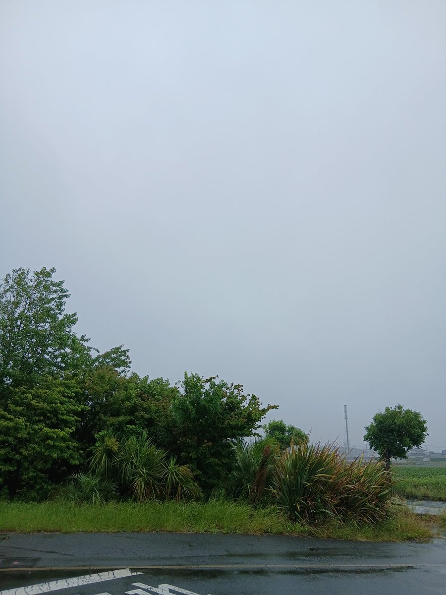 rrgdxd's tweet photo. 今日は朝から雨がチラホラ降ってます。
朝散歩はやります。
嫌な時期が来ましたね（
#イマソラ
#朝活
#朝散歩 https://t.co/OZvXyBijzM