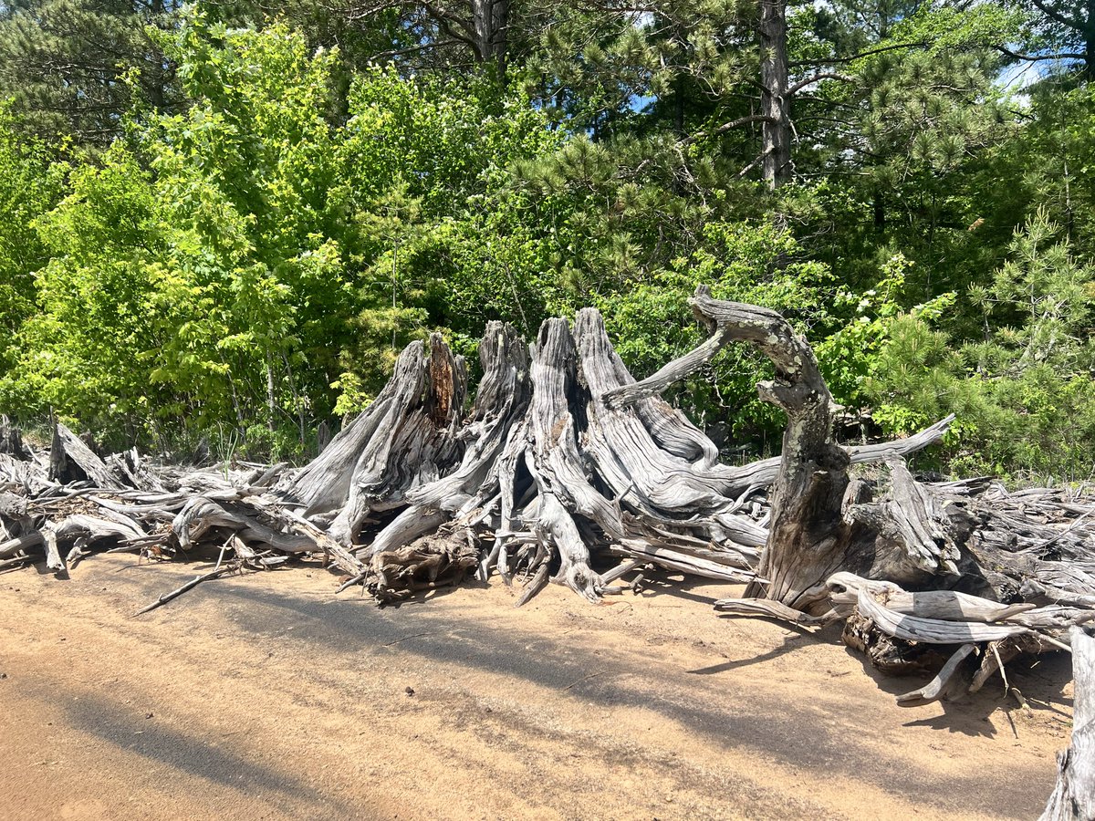 Chelsea_UpNorth's tweet photo. A glimpse into my day. 🪾☀️
Cost: prob less than $5 in gas. 
I’m so happy and rejuvenated. I love the simplicity of my life. I don’t need things. It’s all about connection for me. Connection with my people, this land, and with mind+body. I love life and the freedom I feel outdoors.