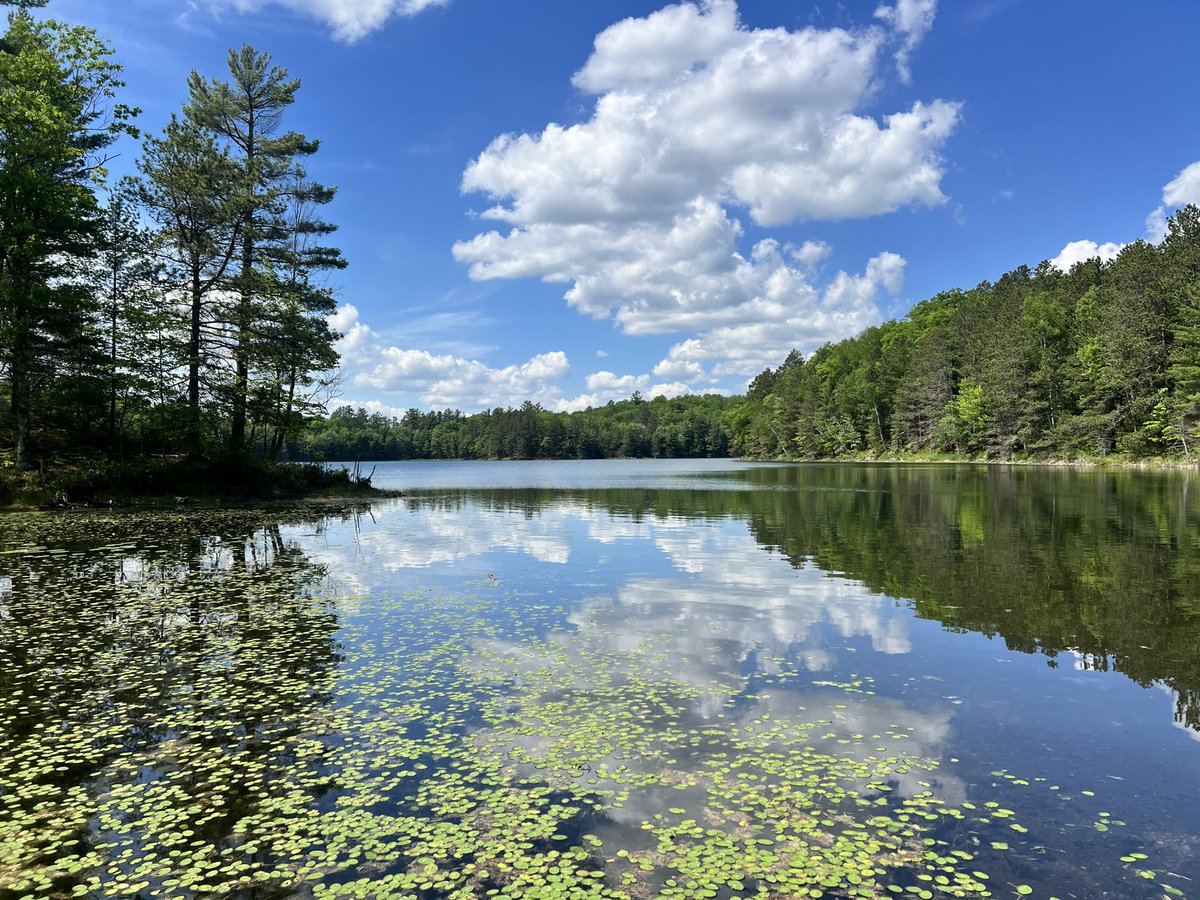 Chelsea_UpNorth's tweet photo. A glimpse into my day. 🪾☀️
Cost: prob less than $5 in gas. 
I’m so happy and rejuvenated. I love the simplicity of my life. I don’t need things. It’s all about connection for me. Connection with my people, this land, and with mind+body. I love life and the freedom I feel outdoors.