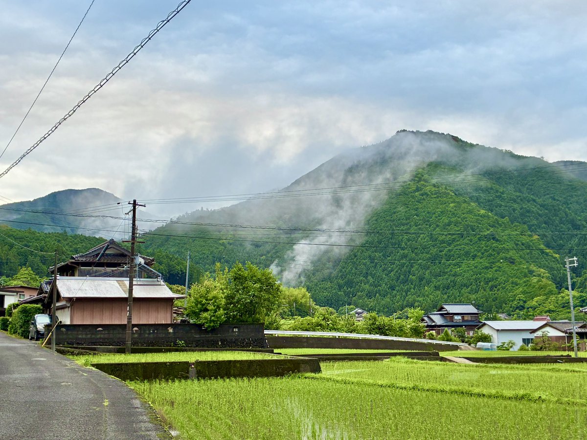 ten1ryu9k3539's tweet photo. ⭐️雨上がりの紫陽花とカエル

おはようございます。
昨日から降り続いていた雨もあがりました。

玄関先の紫陽花にカエル…。

雨上がりの紫陽花とカエルは絵になりますね…。

南天の花も咲き始め、植物たちがイキイキとする季節がやって来ました❣️

我が家の縁側では、怪獣1号くんが捕まえて来たイモリが今朝もケケケと歌っています…😜
＃家庭連合の日常
＃夫婦のチカラ
＃雨上がりの紫陽花とカエル