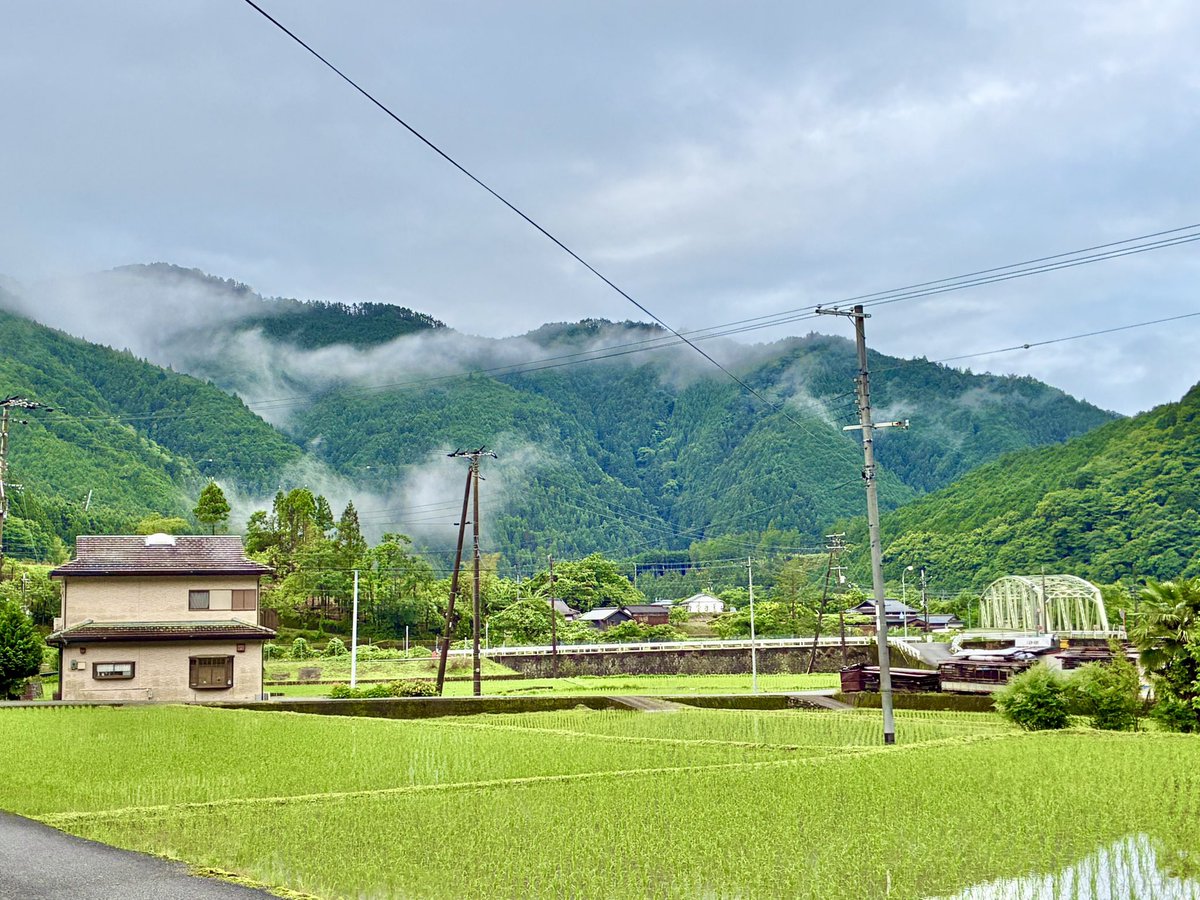 ten1ryu9k3539's tweet photo. ⭐️雨上がりの紫陽花とカエル

おはようございます。
昨日から降り続いていた雨もあがりました。

玄関先の紫陽花にカエル…。

雨上がりの紫陽花とカエルは絵になりますね…。

南天の花も咲き始め、植物たちがイキイキとする季節がやって来ました❣️

我が家の縁側では、怪獣1号くんが捕まえて来たイモリが今朝もケケケと歌っています…😜
＃家庭連合の日常
＃夫婦のチカラ
＃雨上がりの紫陽花とカエル