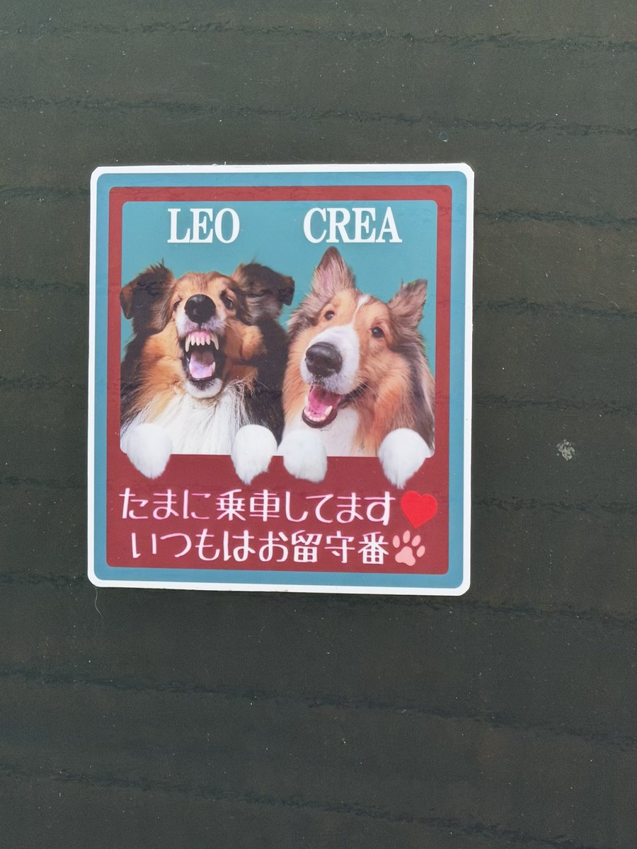 NATTYMAN's tweet photo. おはようございます！
月曜日はソーシャルディスタンシングな散歩in大阪

雲隠れした朝陽と百円橋
夏羽になって立派になった
カンムリカイツブリ
遠くに2羽のマガモ
歯茎がかわいいレオと
笑顔のクレア
そして
今朝のおおさか東線 https://t.co/q27JmCf4JD