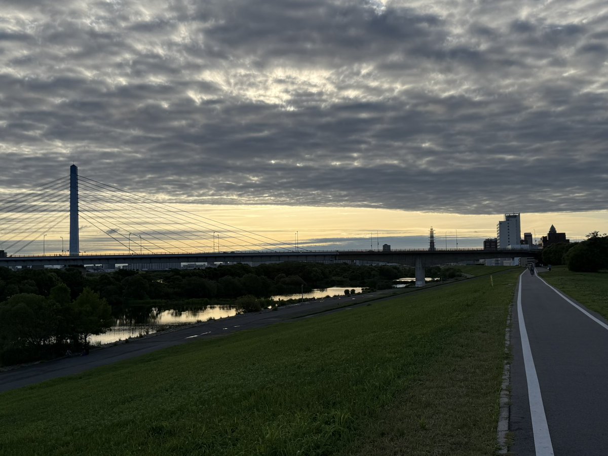 NATTYMAN's tweet photo. おはようございます！
月曜日はソーシャルディスタンシングな散歩in大阪

雲隠れした朝陽と百円橋
夏羽になって立派になった
カンムリカイツブリ
遠くに2羽のマガモ
歯茎がかわいいレオと
笑顔のクレア
そして
今朝のおおさか東線 https://t.co/q27JmCf4JD