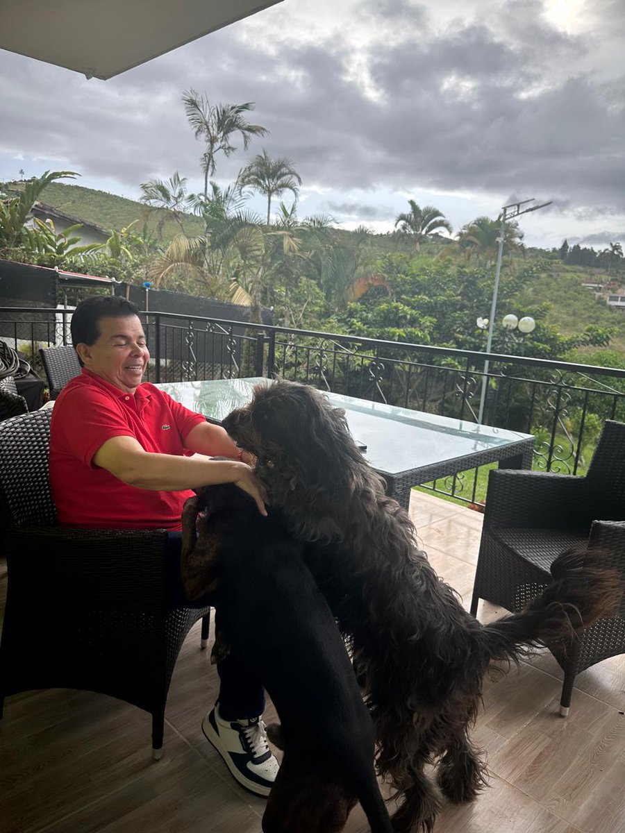 robertoortizu's tweet photo. Nada supera disfrutar un hermoso domingo rodeado del amor de mi familia y de nuestra manada de perritos rescatados.

Su lealtad incondicional, su alegría pura y esa mirada que lo dice todo, convierten cualquier momento en una verdadera bendición. Ellos nos enseñan cada día lo que significa amar sin condiciones. ❤️🐾🐕