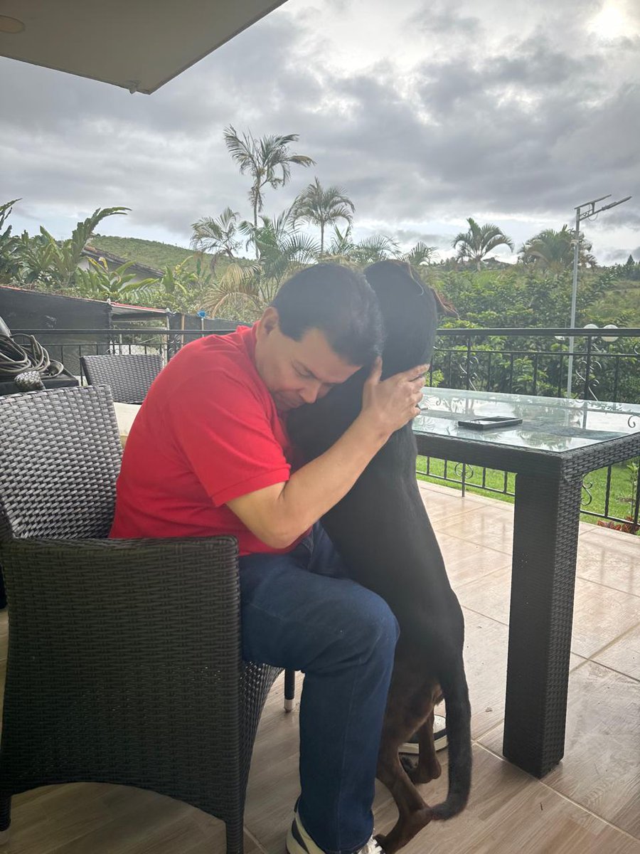 robertoortizu's tweet photo. Nada supera disfrutar un hermoso domingo rodeado del amor de mi familia y de nuestra manada de perritos rescatados.

Su lealtad incondicional, su alegría pura y esa mirada que lo dice todo, convierten cualquier momento en una verdadera bendición. Ellos nos enseñan cada día lo que significa amar sin condiciones. ❤️🐾🐕