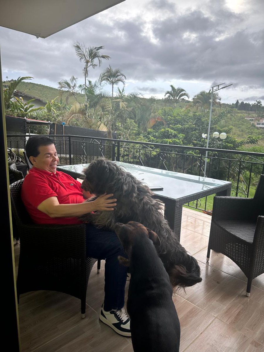 robertoortizu's tweet photo. Nada supera disfrutar un hermoso domingo rodeado del amor de mi familia y de nuestra manada de perritos rescatados.

Su lealtad incondicional, su alegría pura y esa mirada que lo dice todo, convierten cualquier momento en una verdadera bendición. Ellos nos enseñan cada día lo que significa amar sin condiciones. ❤️🐾🐕