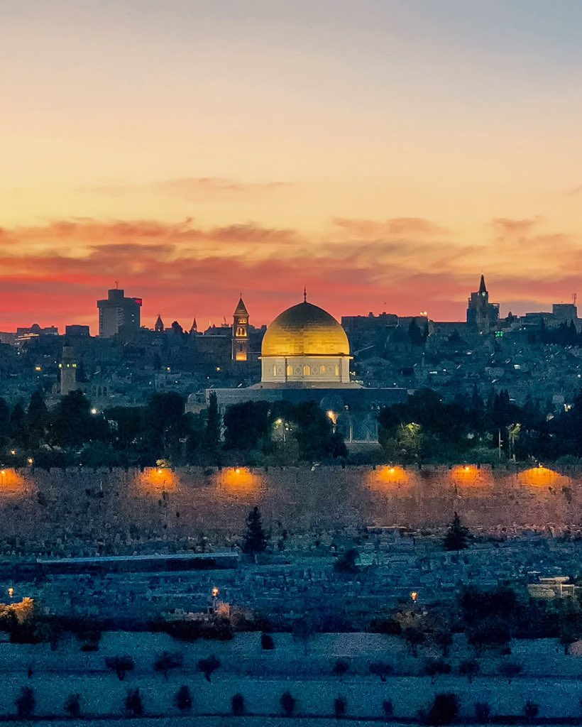 Muhammad Smiry 🇵🇸 tweet media