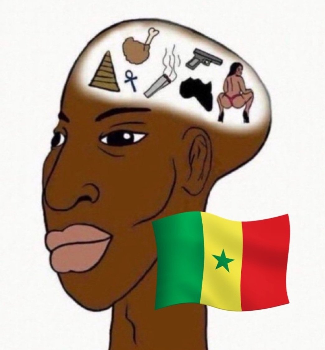 mocro311's tweet photo. @ats_sn_ @Garimpeiro0403 @amrsxn kehloucha ton pays de merde on vous baise les chienegalais sale pute vous êtes le tiers monde des vrai 3azi 🇸🇳💩 https://t.co/CKSbjwfJwd