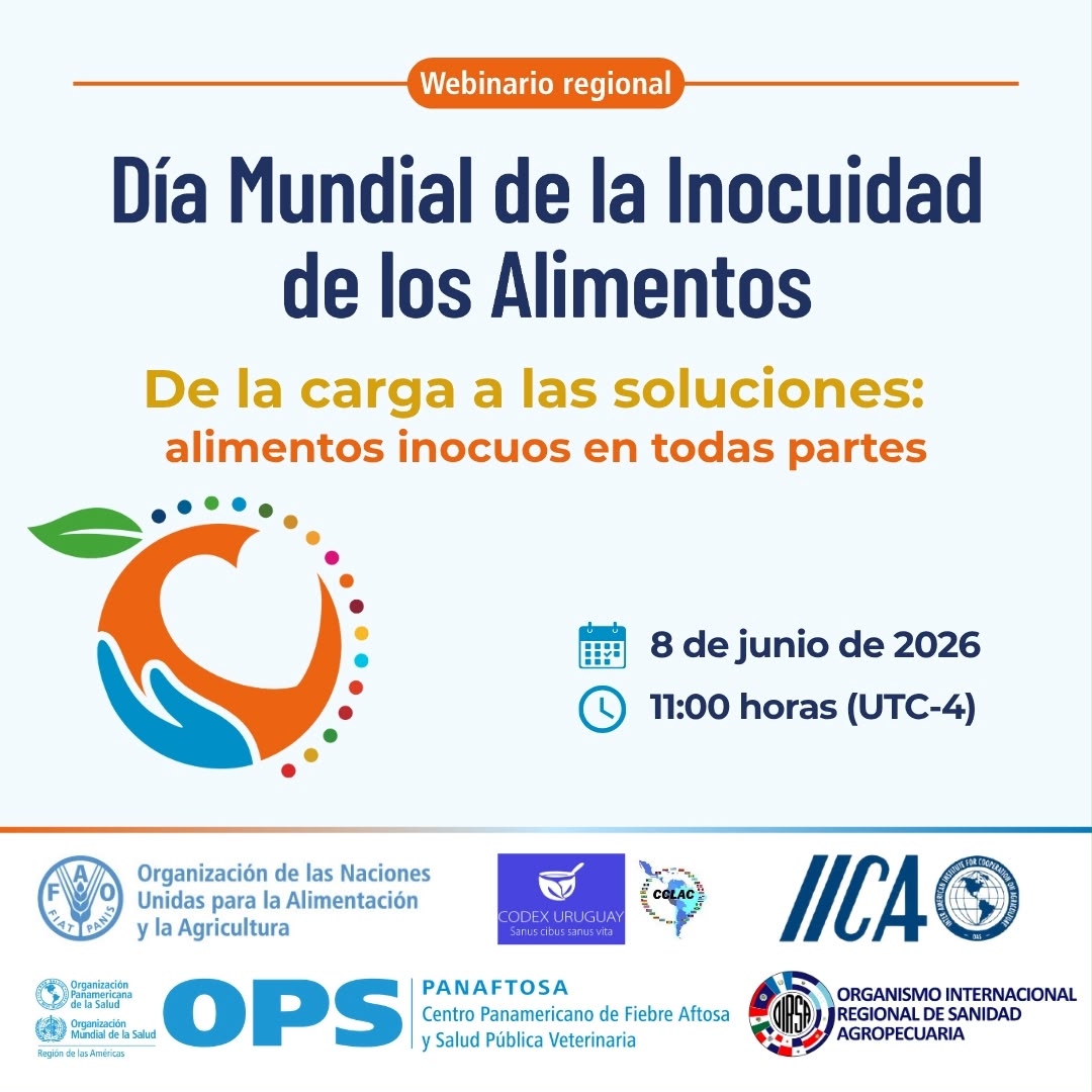 OIRSAoficial's tweet photo. 🔔 ¡Te recordamos que aún estás a tiempo de participar!

Únete a nuestro webinar en conmemoración del Día Mundial 🌎 de la Inocuidad de los Alimentos 🍎🥛🥗.

🗓️ Lunes, 08 de junio de 2026.

🕘 9:00 a. m. 🇲🇽🇧🇿🇬🇹🇸🇻🇭🇳🇳🇮🇨🇷
🕙 10:00 a. m. 🇵🇦
🕚 11:00 a. m. 🇩🇴

📝 Regístrate aquí 👉 https://t.co/siUK11G3xJ

¡No te lo pierdas! 🙌